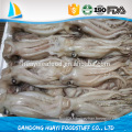 frozen best new squid tentacle for sale